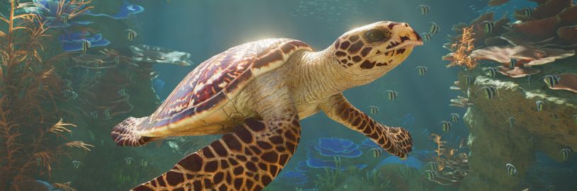 Planet Zoo 2 ukazuje akvária a voliéry v prvním gameplay traileru