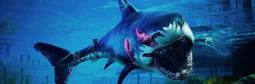Žraločí RPG Maneater ukazuje své detailní prostředí