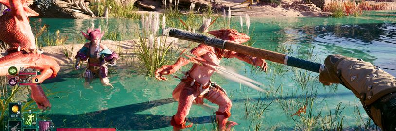 Avowed si na velkou aktualizaci počká. Odklad vynahradí více obsahu na výročí hry