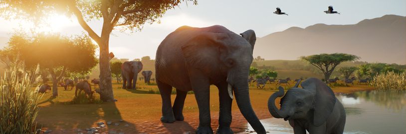 Planet Resort, Planet Studio nebo něco jiného? Tvůrci Planet Zoo chystají novou hru