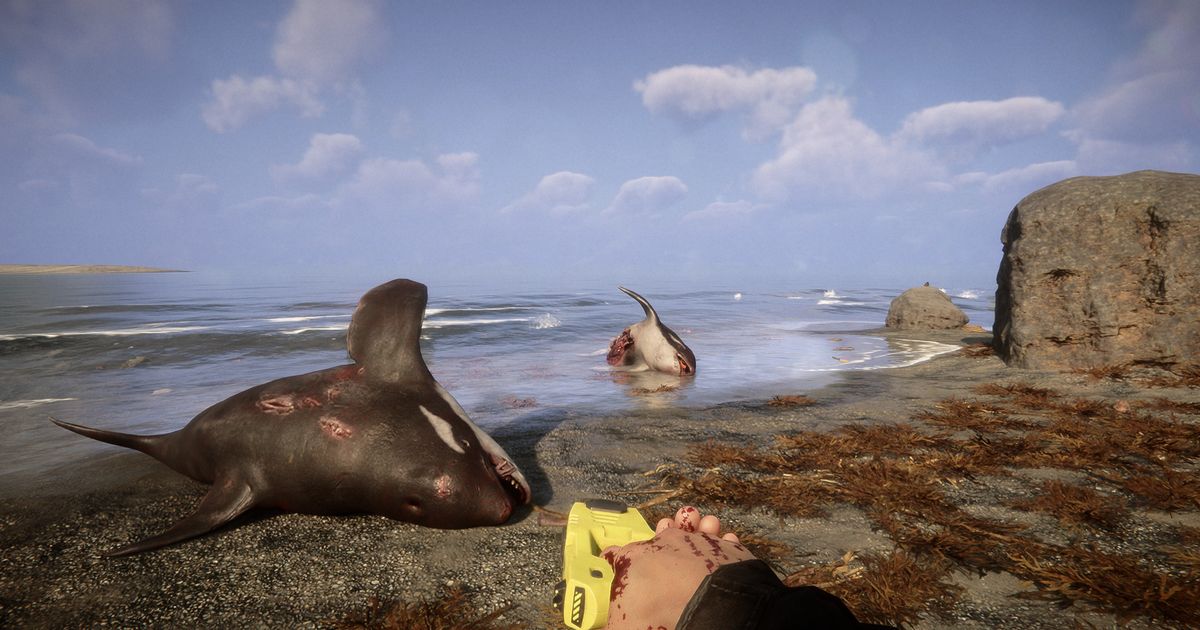 Sons of the Forest looks good, but not this year