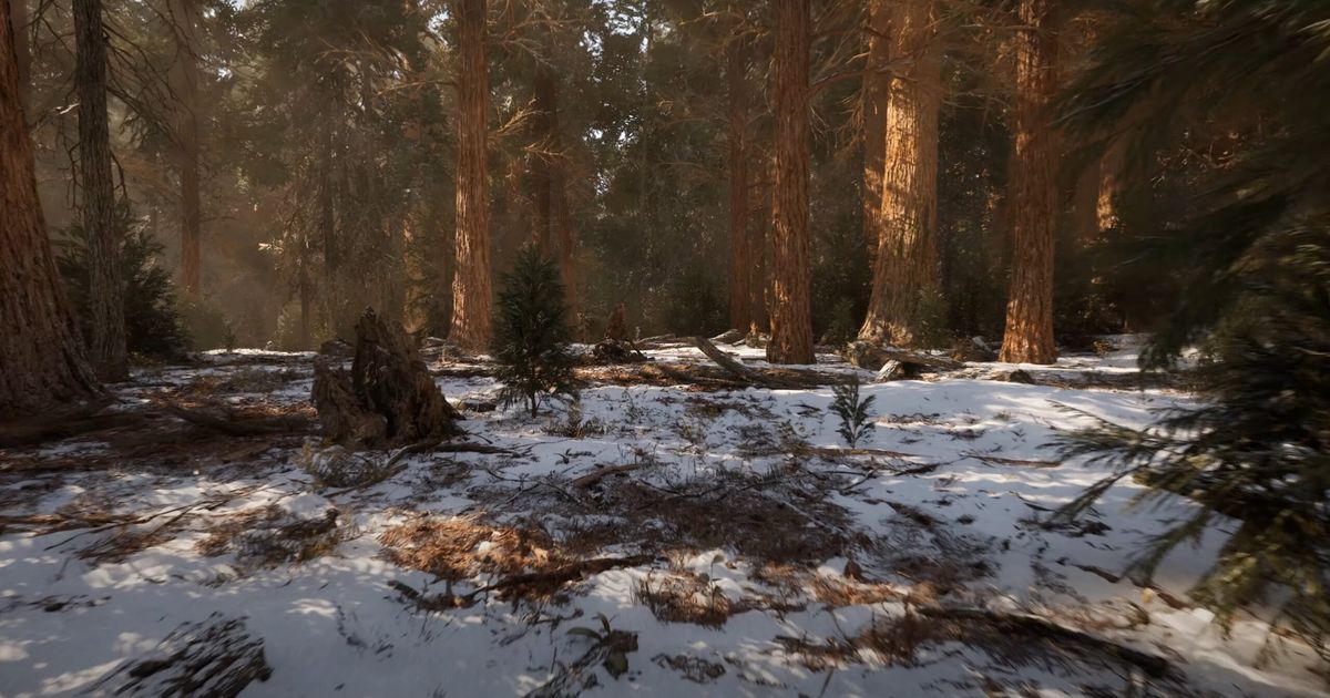 An impressive forest can be created in Unreal Engine 5.1