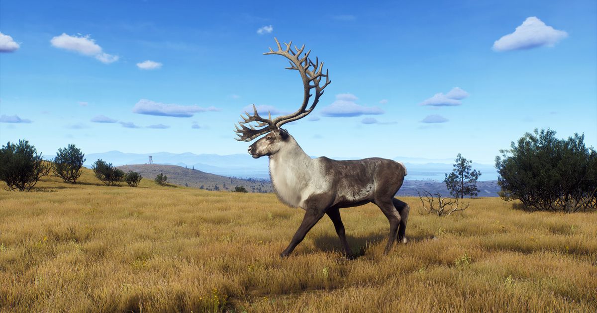 Slovak video game industry fell significantly last year – INDIAN
