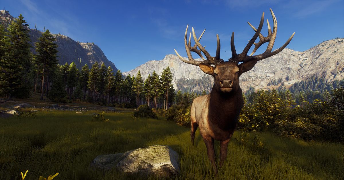 Way of the Hunter invites you to harsh Alaska