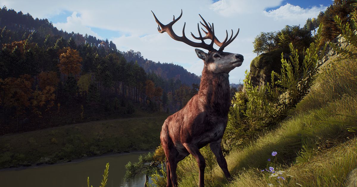 The beauty of nature in the trailer “Way of the hunter”