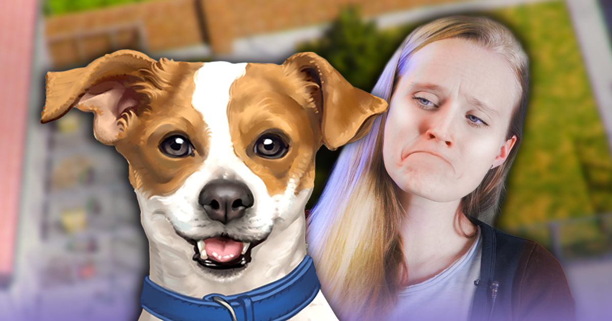 Animal Shelter – Reviews – INDIAN