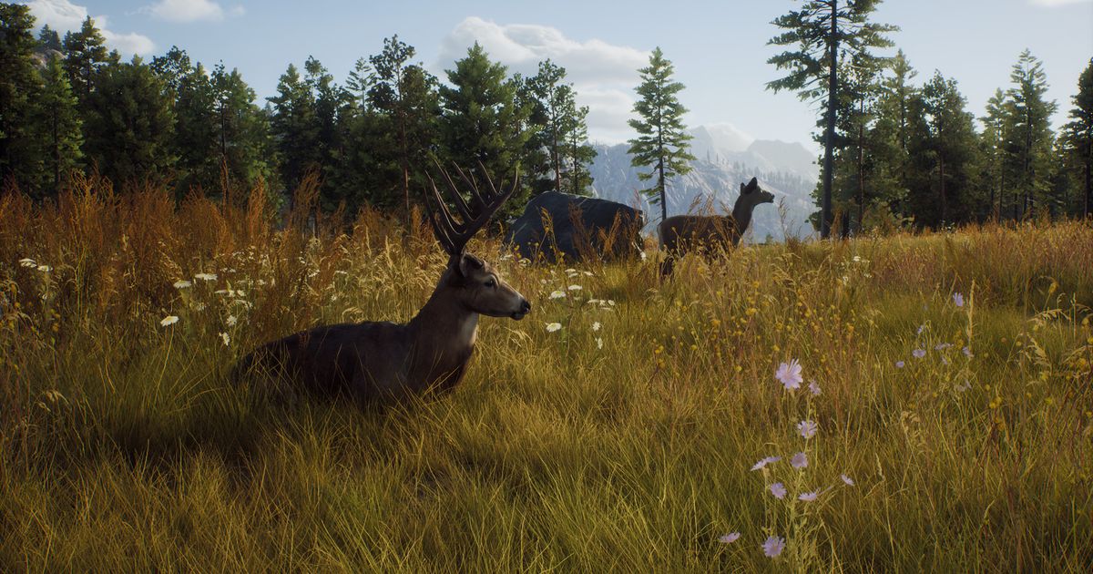 In Way of the Hunter, you will also hunt game in Transylvania.