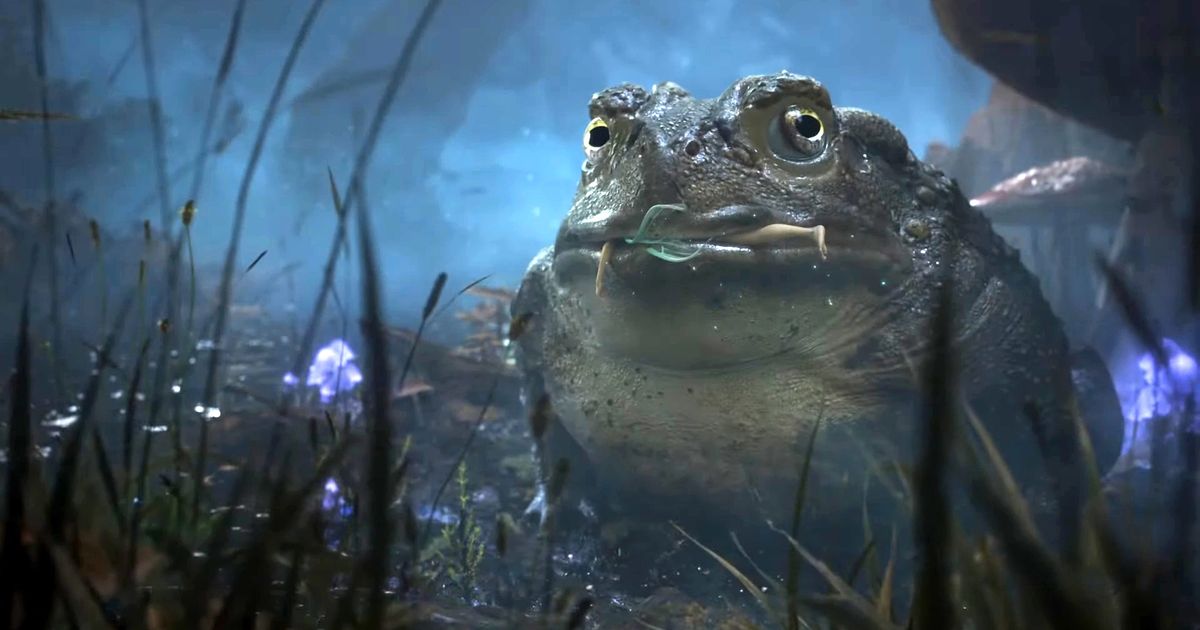 Fable is still a long way off and is supposed to be inspired by The Witcher 3.