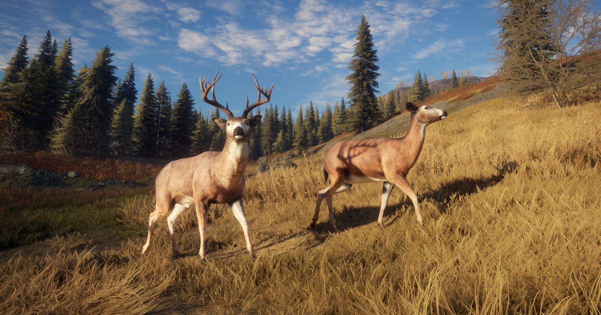 Popular free hunting simulator in PC version