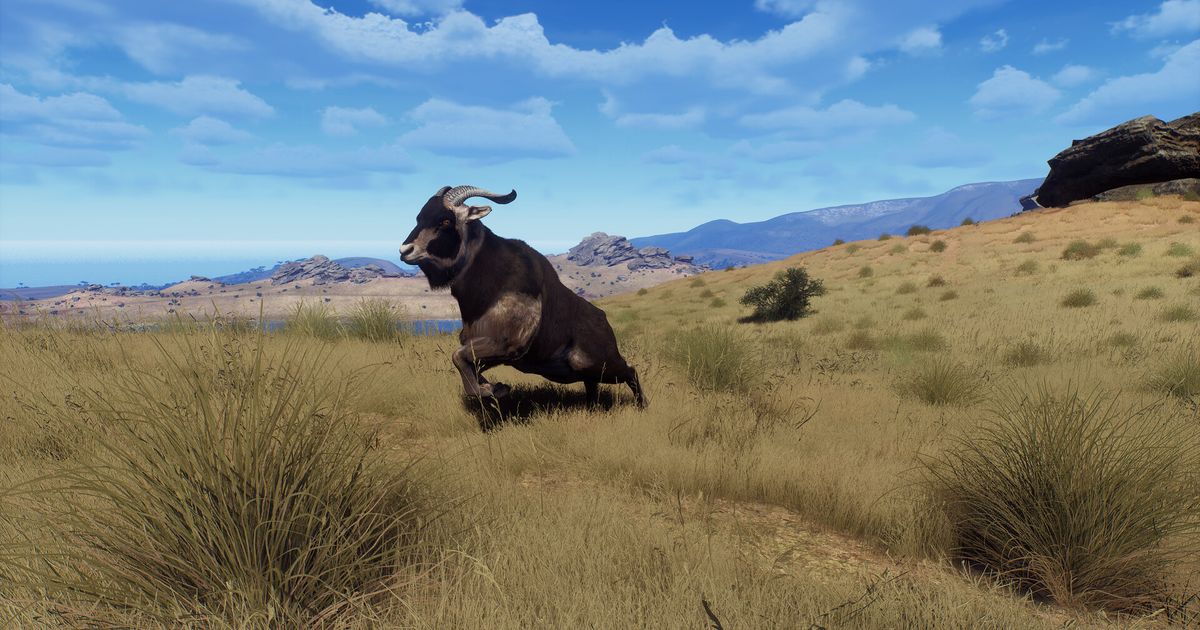 Hunting simulator Way of the Hunter will take players to New Zealand – INDIAN in the next DLC