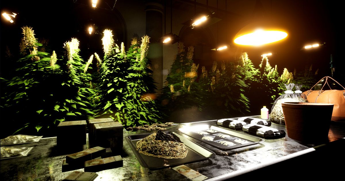 Continuation of the crime simulator drug dealer