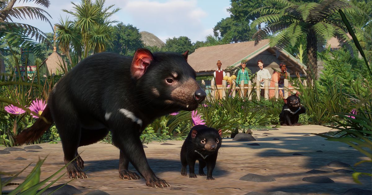 Beautiful animals from Oceania will visit the Planet Zoo – INDIAN