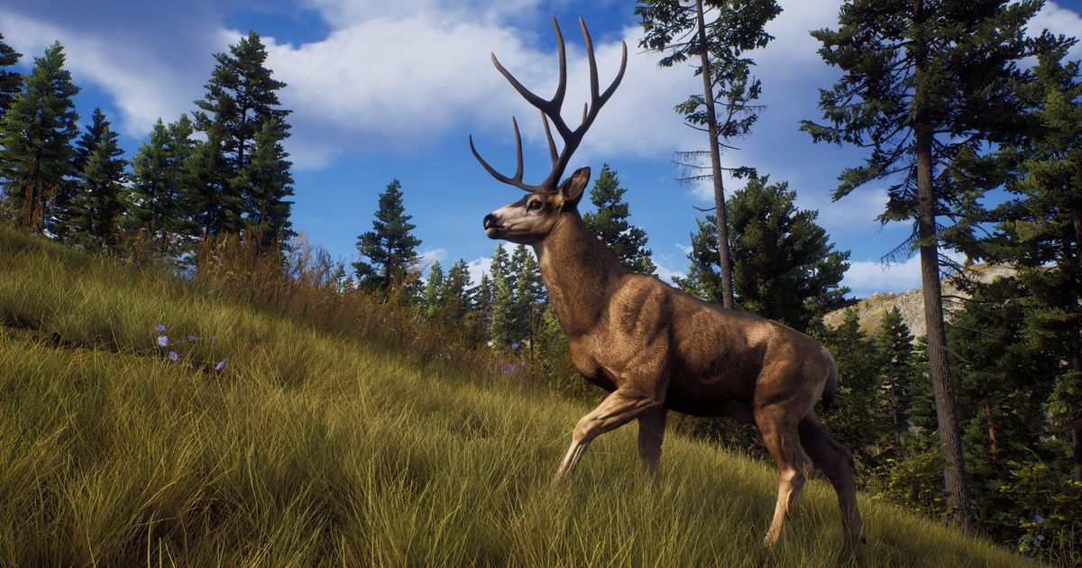 In Way of the Hunter, you enter the world of game hunters.